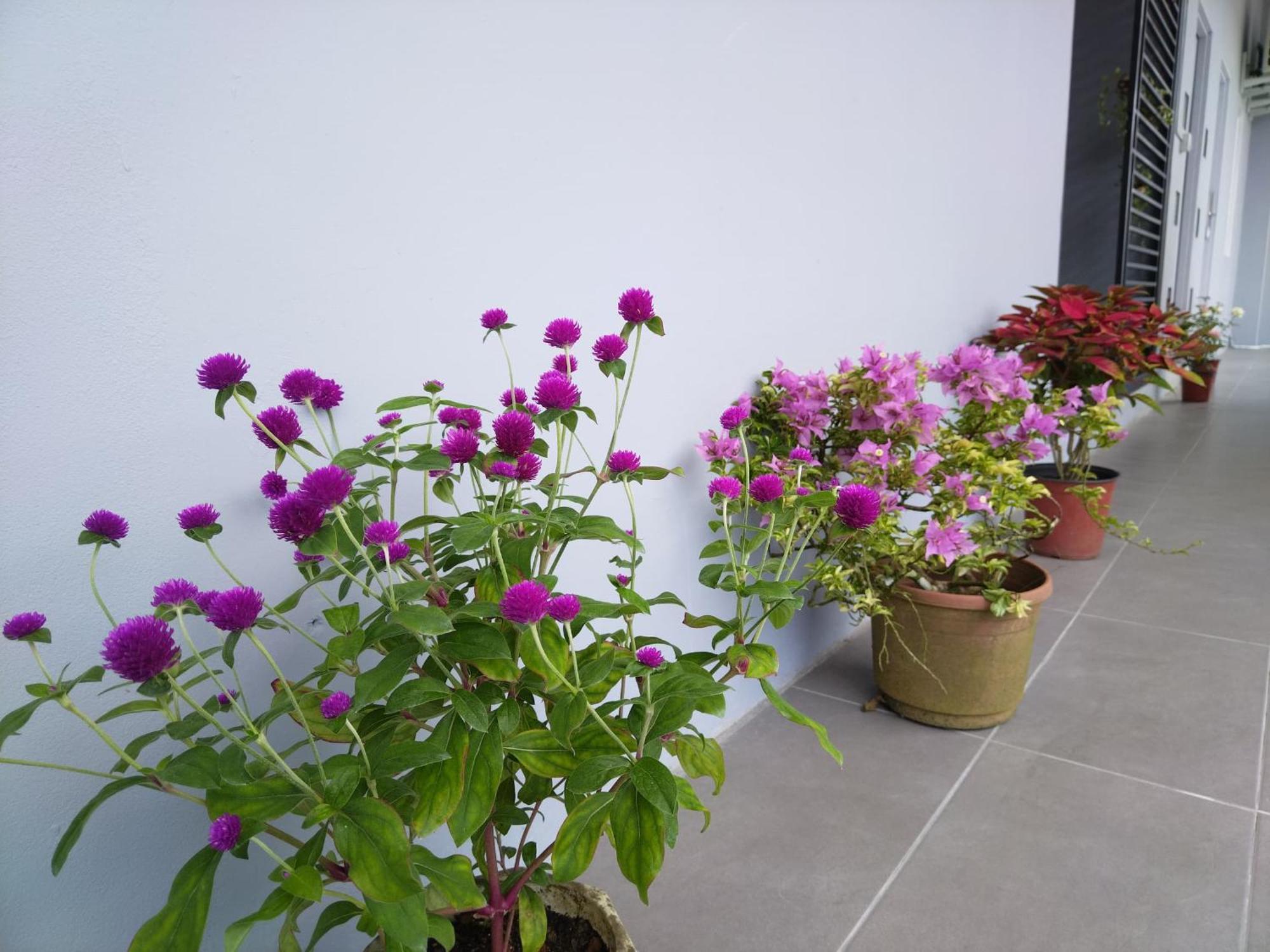 Greenery Rooms ตาวาอู ภายนอก รูปภาพ