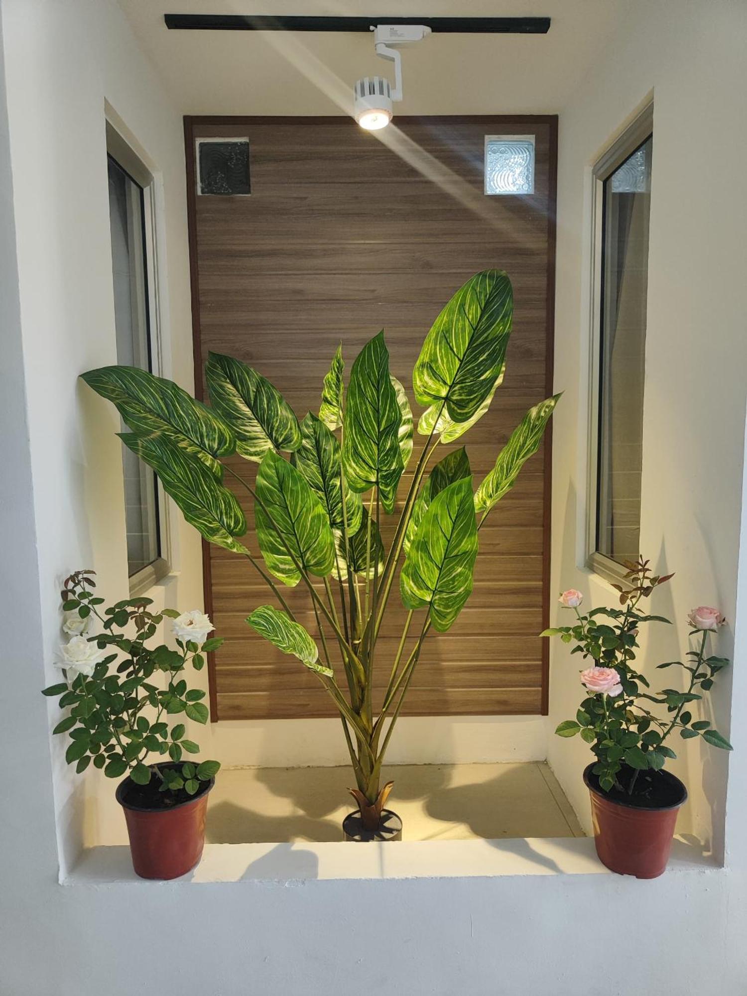 Greenery Rooms ตาวาอู ภายนอก รูปภาพ